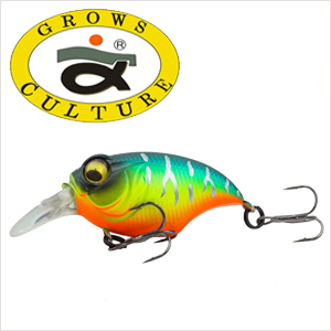 GC Griffon